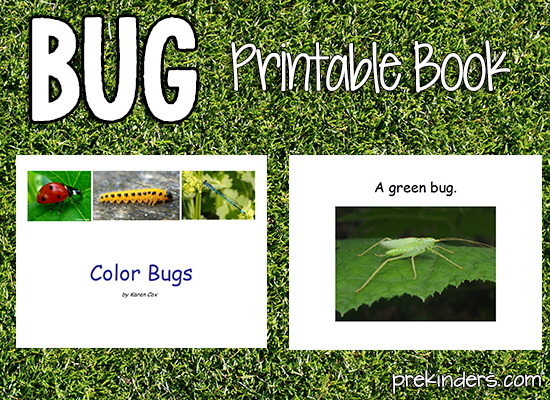 Color Bugs Printable Book