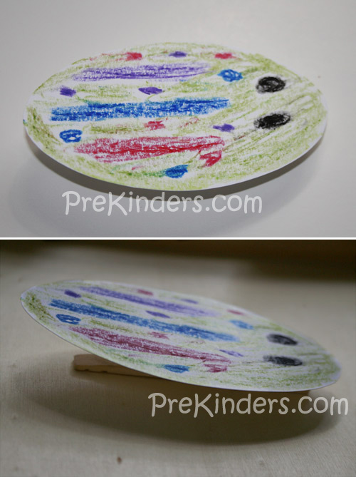 Click Beetle Art Project