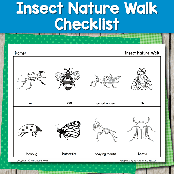 Insect nature walk checklist printable