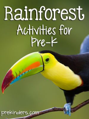 Rainforest Theme Activities for Pre-K Preschool
