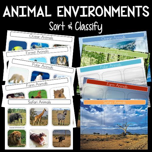 Wild Animal Environments