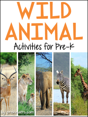 Wild Animals Activities Preschool