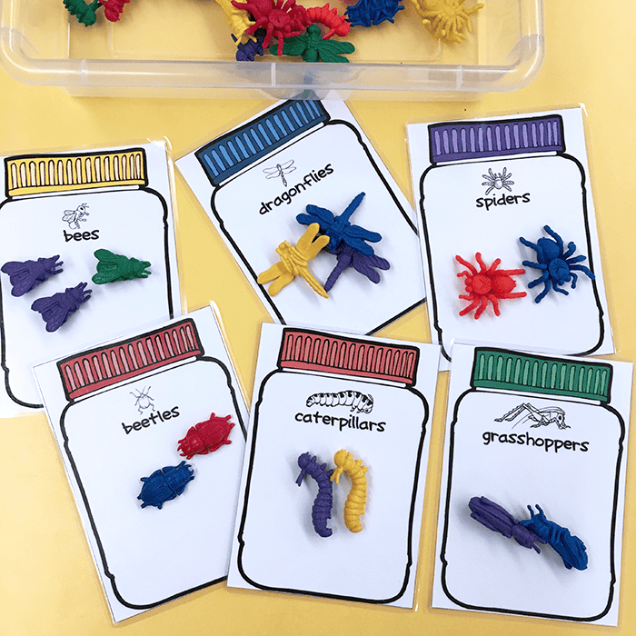 Bug Math Sorting - Pre-K Preschool