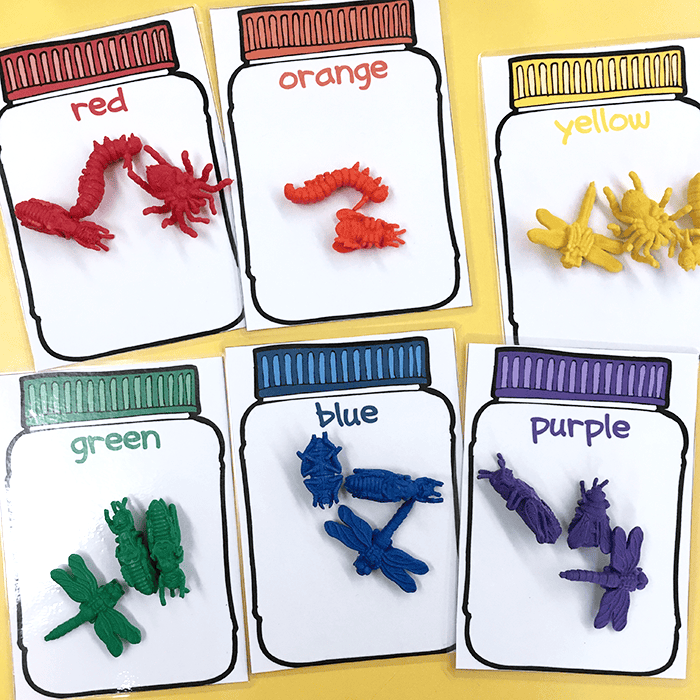 Bug Sorting Math for Pre-K Preschool