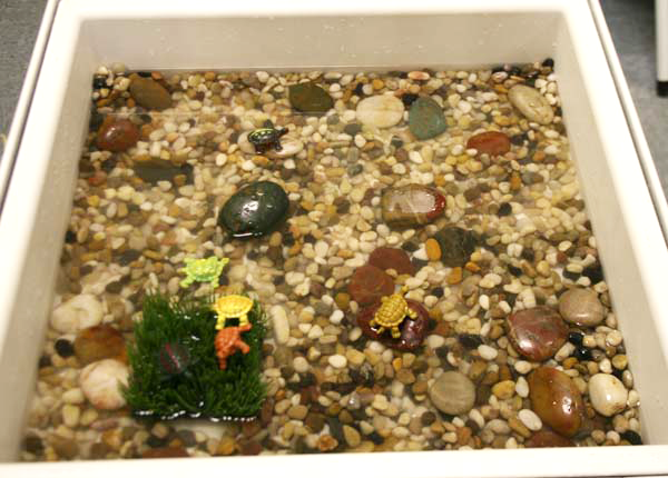 Pond Life Sensory Table