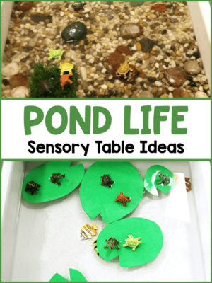 Pond Life Sensory Table Ideas