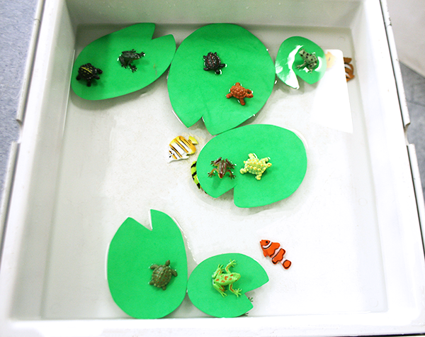 Turtles & Lily Pads Sensory Table