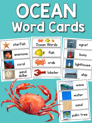Ocean Word Cards