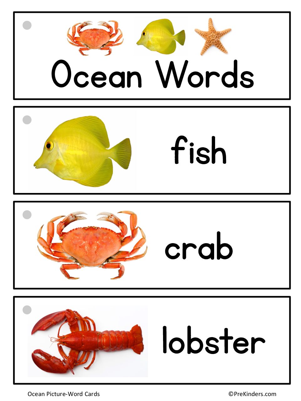 Ocean Word Cards PreKinders