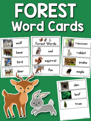 Forest Word Cards
