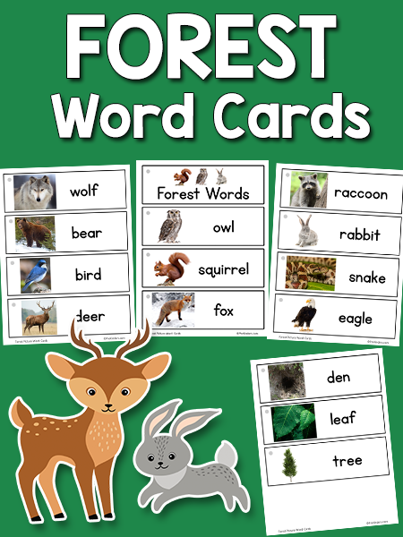 Forest Picture Word Cards - PreKinders