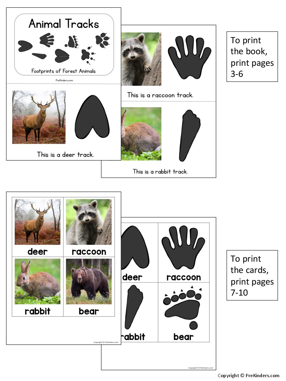 animal-tracks-book-cards-full-color-printable-prekinders