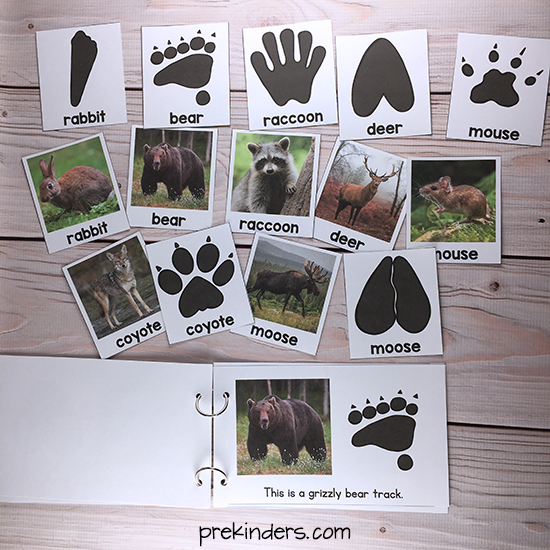 Animal Tracks Printable Book & Matching Cards for Pre-K, Preschool, Kindergarten