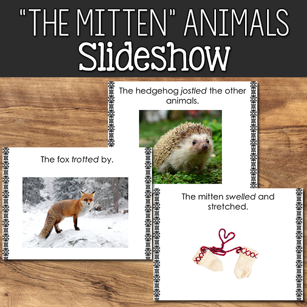 Jan Brett The Mitten Animals Slideshow PreKinders