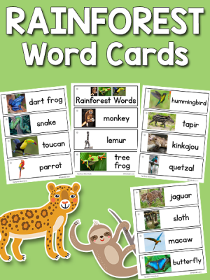 Rainforest Word Cards