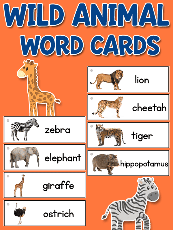 Wild Animal Word Cards - PreKinders