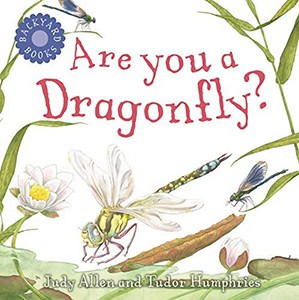 are you a dragonfly