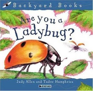 are you a ladybug