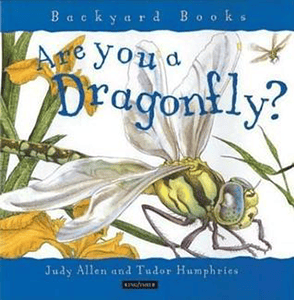 are you a dragonfly 