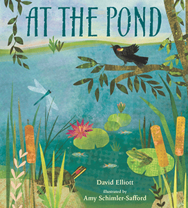 at the pond book