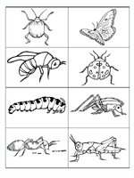 Bugs