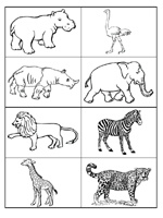 Safari