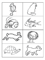 Pets