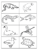 animal habitat kindergarten for worksheet for PreKinders Picture Cards Themes animal habitat kindergarten for worksheet for PreKinders Picture Cards Themes