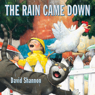 rain came down book cover