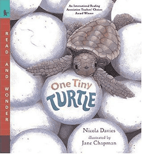 one tiny turtle