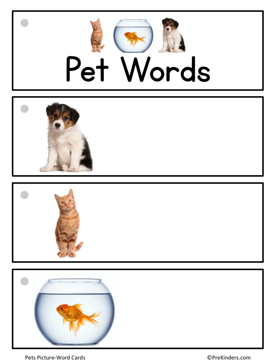 Pet Word Cards Blank PreKinders
