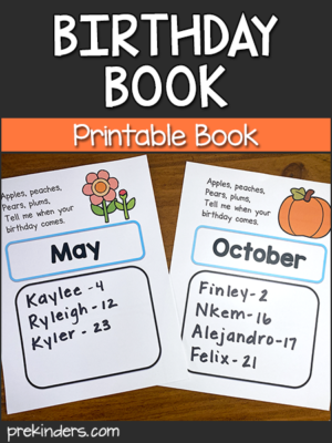 Class Birthday Book Printable