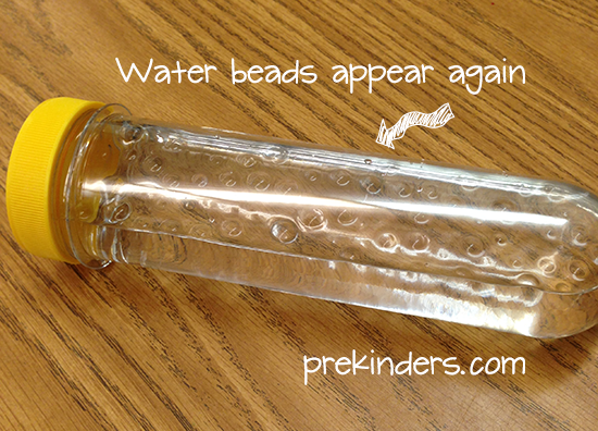 Disappearing water beads appear again