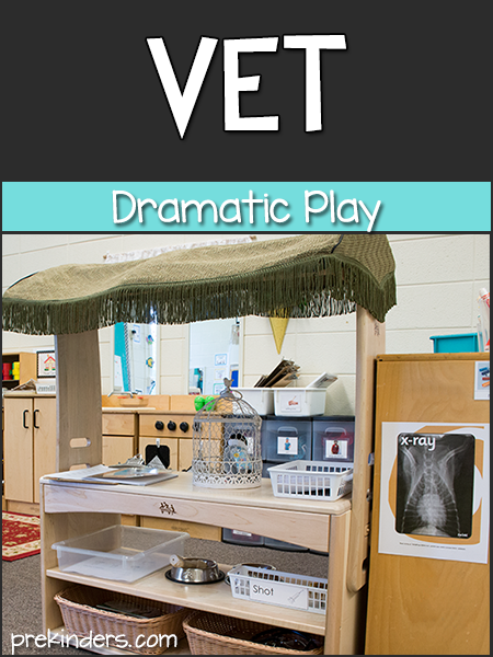 Vet Dramatic Play