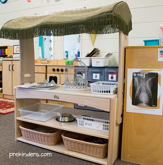 Vet Dramatic Play Center