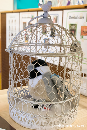 Vet Dramatic Play Center: bird cage
