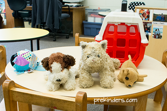 Vet Dramatic Play Center: pets