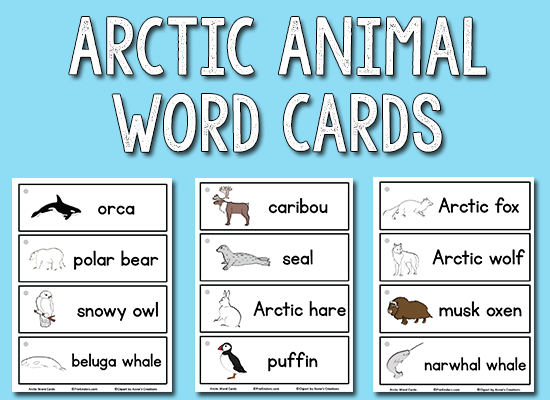 Arctic Animal Picture-Word Cards