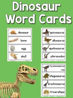 Dinosaur Picture Word Cards Printable