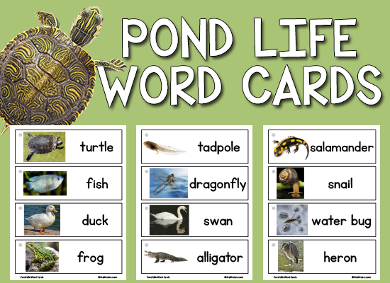 Pond Life Chart