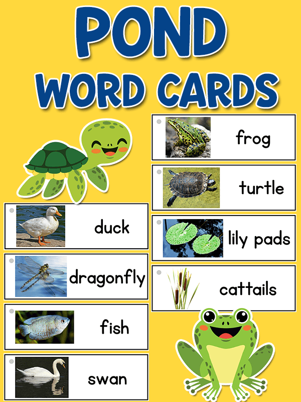 Pond Picture Word Cards