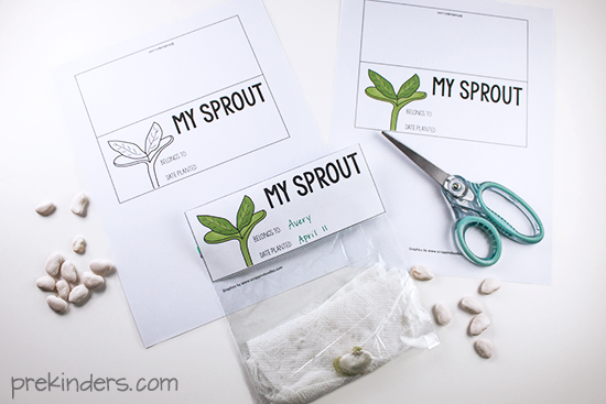 Seed Sprout Bag Topper Printable