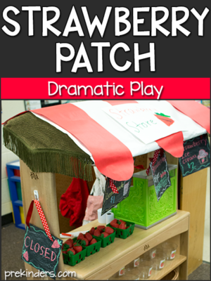 Strawberry Patch Dramatic Play