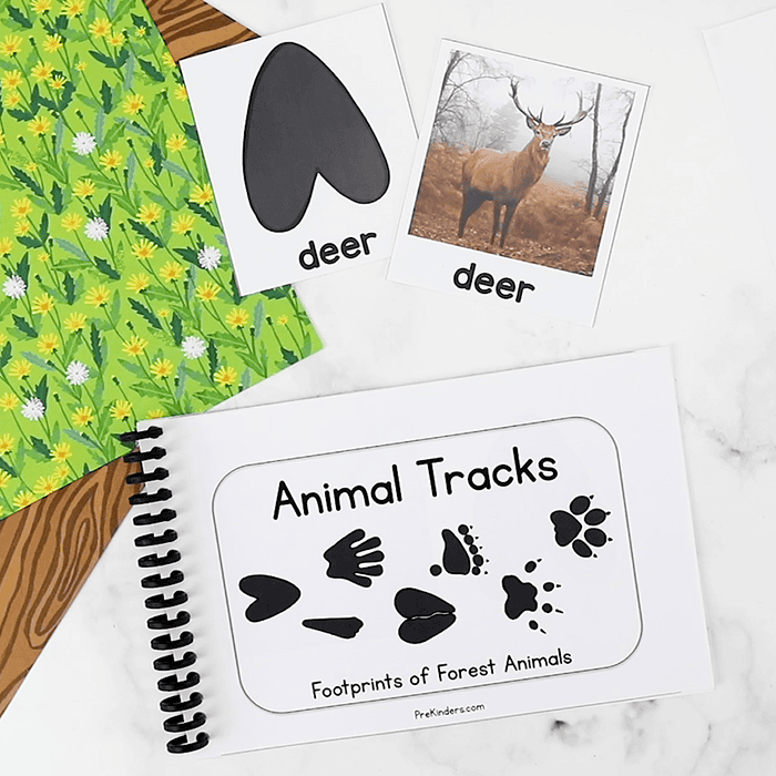 Animal Tracks Printable Book & Matching Cards for Pre-K, Preschool, Kindergarten