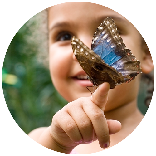 preschool activity book ideas