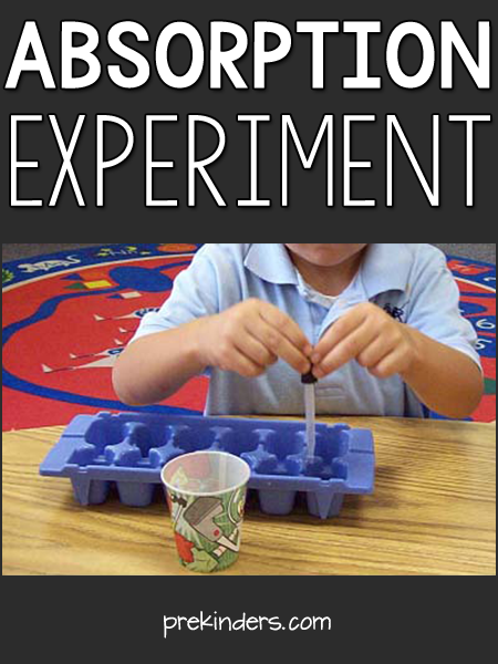 Absorption Experiment Science for Kids