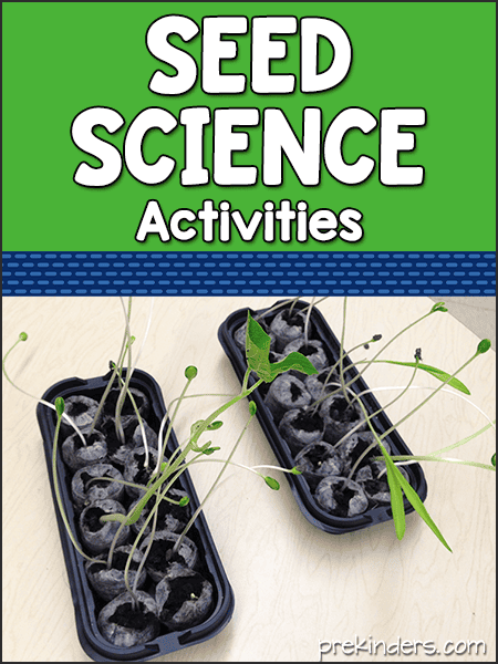 Seed Science Activities for Pre-K, Preschool