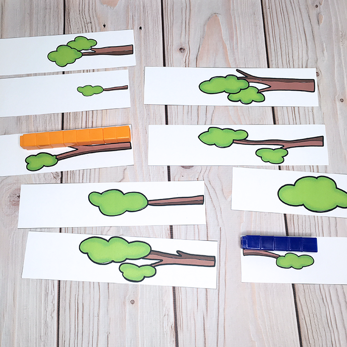 Measuring Tree Branches: Forest Theme