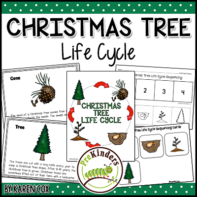 Christmas Tree Life Cycle TPT