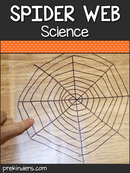 Spider Web Science Experiment: understand why spiders don't stick to their web